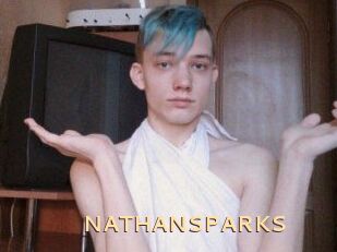 NATHAN_SPARKS