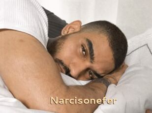 Narcisonefer