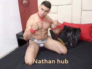 Nathan_hub