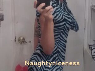 Naughtyniceness