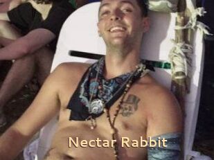 Nectar_Rabbit