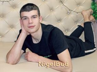 NigelBud