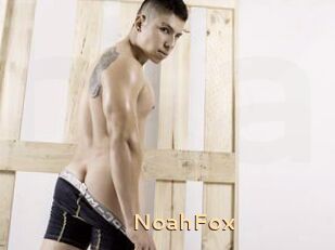 NoahFox