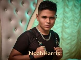 NoahHarris