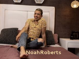 NoahRoberts