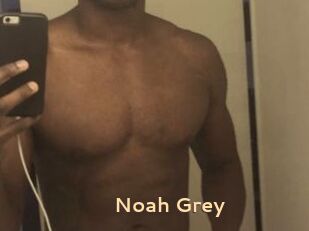 Noah_Grey