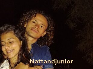 Nattandjunior