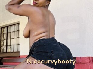 Nicecurvybooty