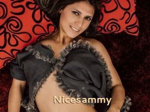 Nicesammy