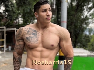 Noaharris19