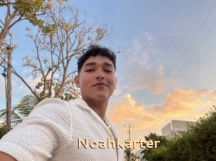 Noahkarter