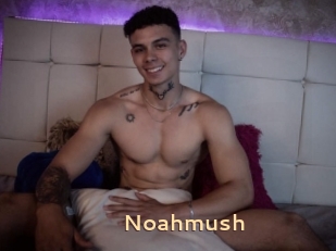 Noahmush