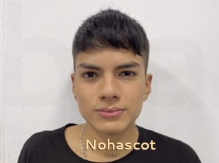 Nohascot