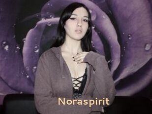 Noraspirit