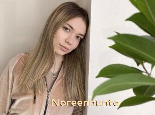 Noreenbunte