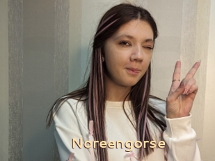 Noreengorse