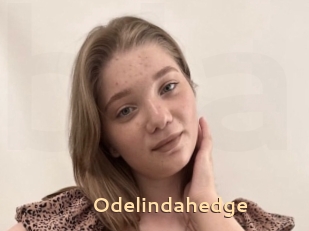 Odelindahedge