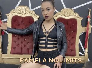 PAMELA_NOLIMITS