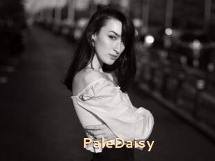 PaleDaisy