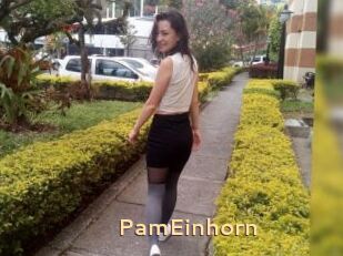 PamEinhorn