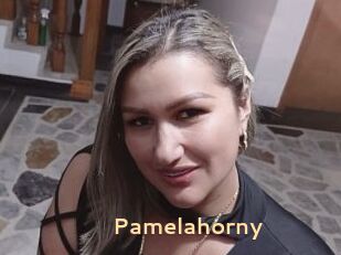 Pamelahorny