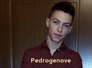 Pedrogenove