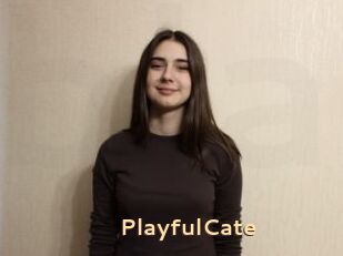 PlayfulCate