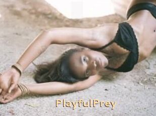 PlayfulPrey