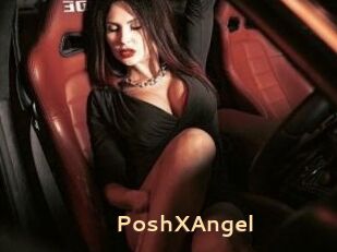 PoshXAngel