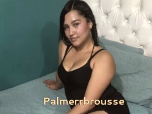 Palmerrbrousse