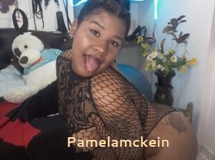 Pamelamckein