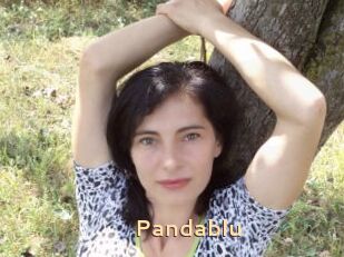 pandablu Black Cams