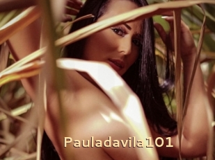 Pauladavila101