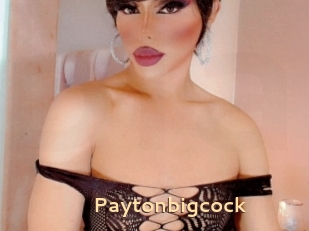 Paytonbigcock