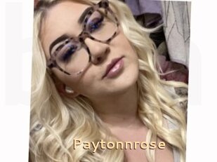 Paytonnrose