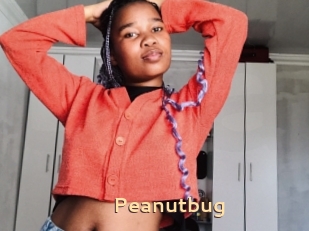 Peanutbug