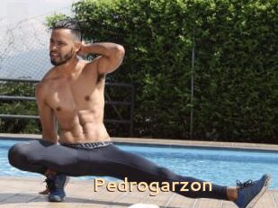 Pedrogarzon