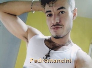 Pedromancini