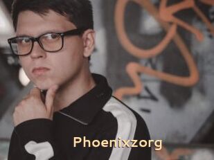 Phoenixzorg