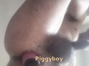 Piggyboy