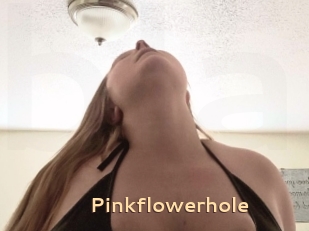 Pinkflowerhole