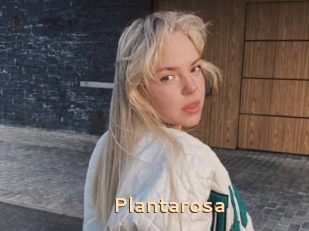 Plantarosa