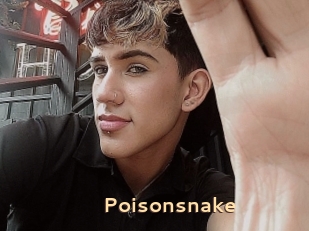 Poisonsnake