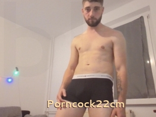 Porncock22cm