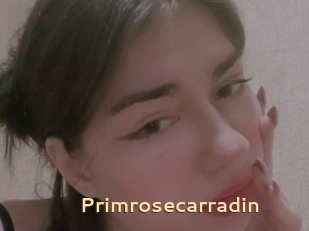 Primrosecarradin