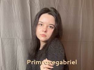 Primrosegabriel