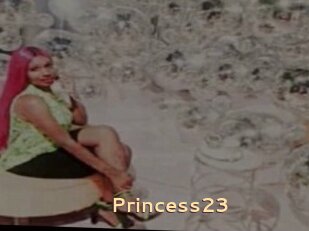 Princess23