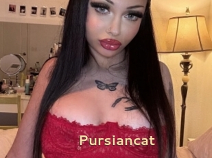 Pursiancat