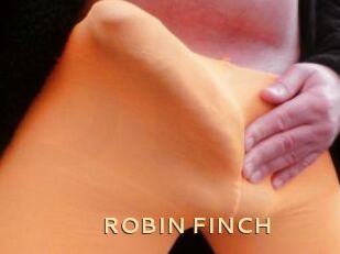 ROBIN_FINCH