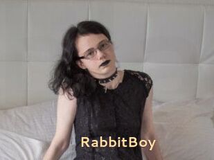 RabbitBoy